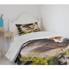 Nature Wild Fox Forest Bedspread Set