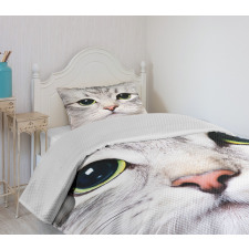 Face of a Domestic Kitty Bedspread Set