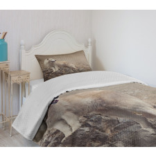 White Wolf on the Rocks Bedspread Set