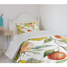 Orange Clementine Tree Bedspread Set