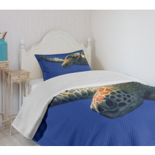 Sea Animal Swimming Bedspread Set