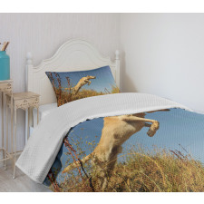 Purebred Labrador Bedspread Set