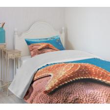 Coral Fishes Sea Bedspread Set