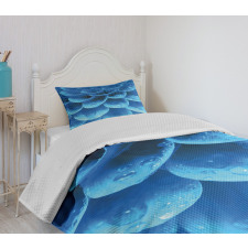 Gerbera Abstract Petals Bedspread Set