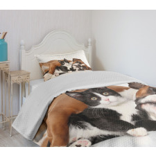Cat Dog Friendship Bedspread Set