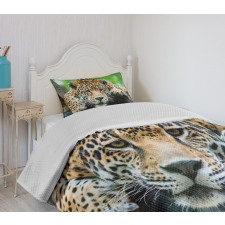 Jaguar Wildcat Feline Bedspread Set