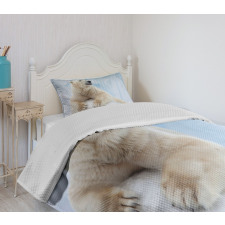 White Polar Bear on Ice Bedspread Set