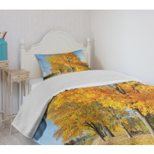 Maple Trees Countryside Bedspread Set