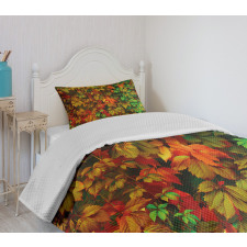 Colorful Leafage Vivid Bedspread Set