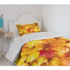 Wet Maple Leaves Nature Bedspread Set