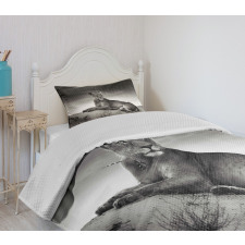 Wild Lioness Bedspread Set