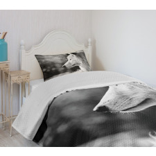 Wolf Portrait Bedspread Set