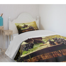 Scenic Tuscany Vineyard Bedspread Set