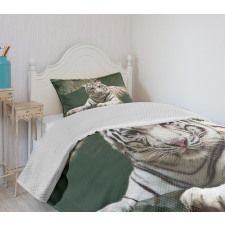 White Tiger Swimming Fun Bedspread Set