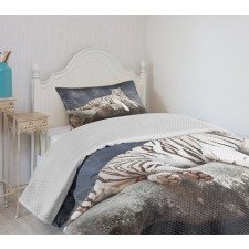 Wildlife Cat on the Rock Bedspread Set