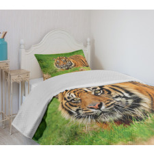 Sumatran Feline Ambush Bedspread Set