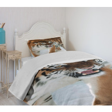 Siberian Predator Feline Bedspread Set