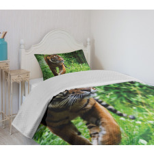 Siberian Wild Cat Habitat Bedspread Set
