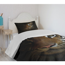 King of Sundarbans Bedspread Set