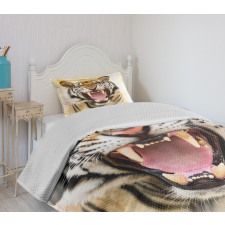 Young Panthera Growling Bedspread Set