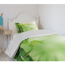 Bamboo out of Water Bedspread Set