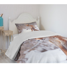 Snowy Country Furry Animal Bedspread Set
