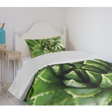 Green Leaf Exotic Mexico Bedspread Set