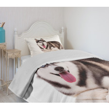 Funny Siberian Bedspread Set