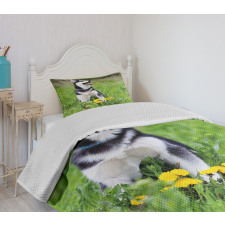 Puppy on Grass Bedspread Set