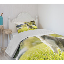 Friendly Bedspread Set