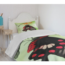 Open Cocoon Bedspread Set