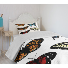 Monarch Lady Bedspread Set