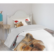 Cat Dog Xmas Hats Bedspread Set