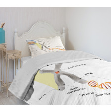 DNA Gene Genome Bedspread Set