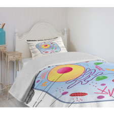 Animal Cell Study Bedspread Set