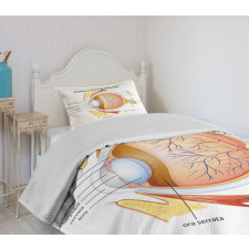 Eye Cornea Pupils Bedspread Set