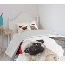 Christmas Themed Dog Photo Bedspread Set