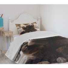 Friendly Animal Waving Paw Bedspread Set