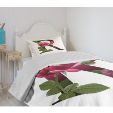 Flower of Love Rose R Bedspread Set