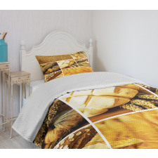 Wheat Stages Collage Bedspread Set
