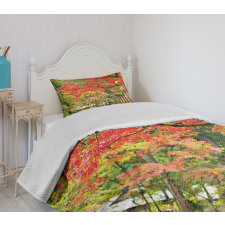 Sakura Tree Blossom Bedspread Set