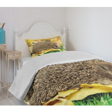 Little Hedgehog Bedspread Set