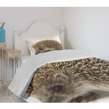 Small Mammal Bedspread Set