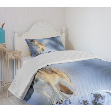 Carnivore Canine in Snow Bedspread Set