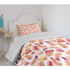 Quills with Brush Marks Bedspread Set