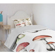 Hand Drawn Fungus Bedspread Set