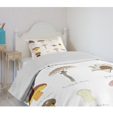 Blusher Boletus Sketch Bedspread Set