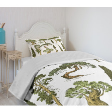 Forest Growth Ecology Bedspread Set