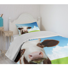 Staring Brown Animal Bedspread Set