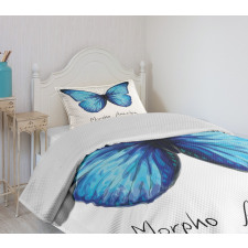 Abstract Butterfly Bedspread Set